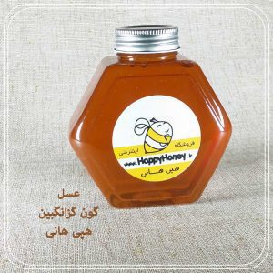خرید عسل گون گز انگبین