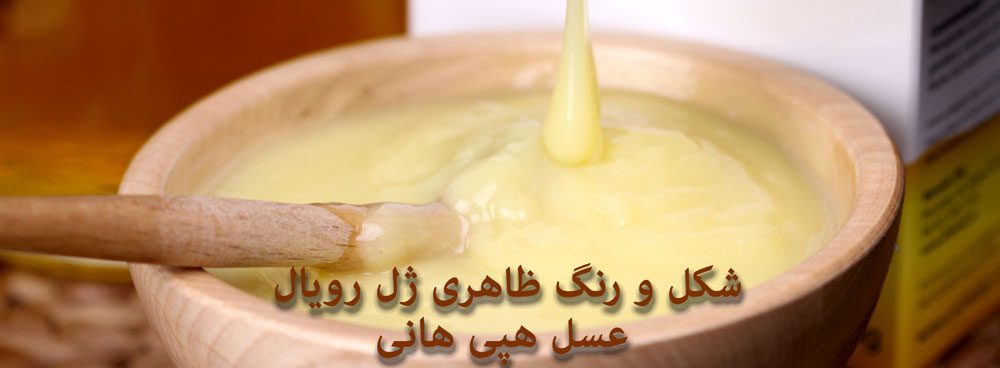 شکل و رنگ ژل رویال خام