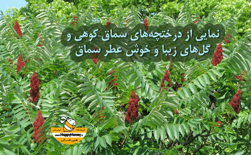 عسل سماق کوهی