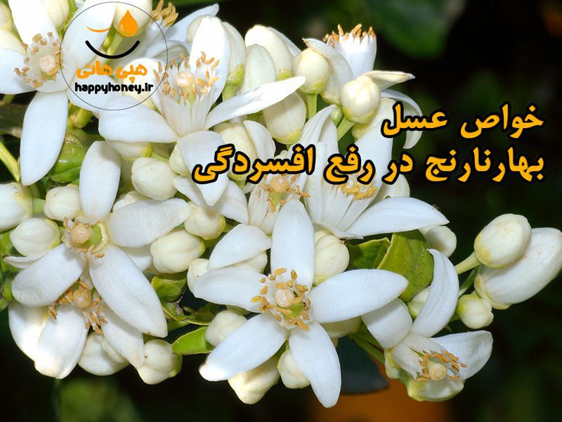 خواص عسل بهار نارنج