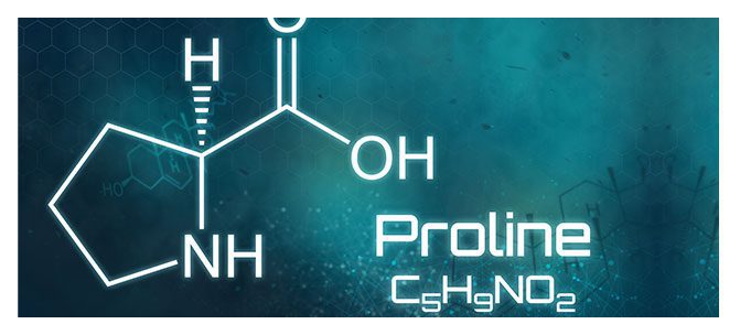 proline
