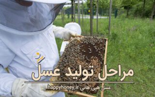 مراحل تولید عسل