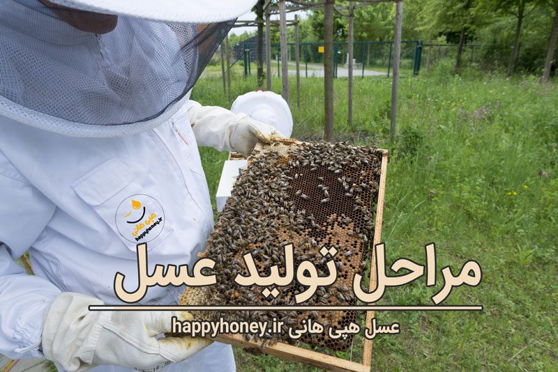 مراحل تولید عسل