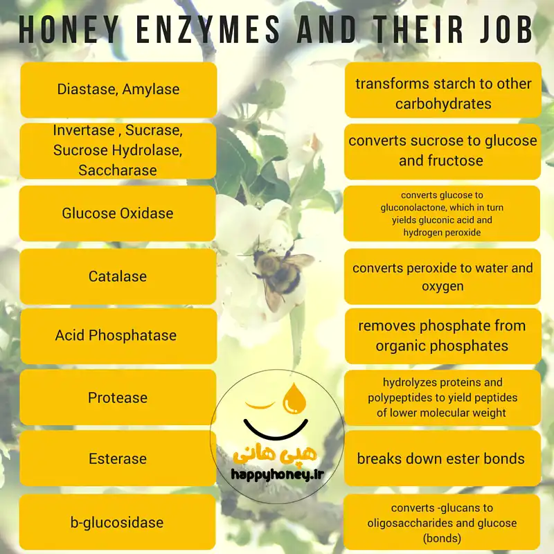 آنزیم‌های عسل