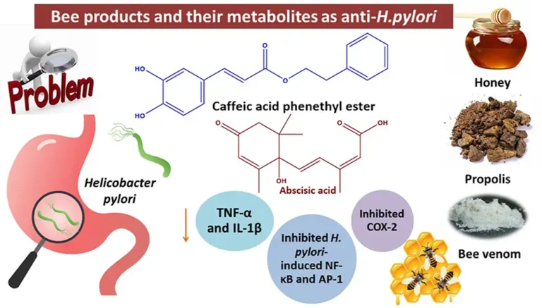هلیکوباکتر پیلوری و عسل